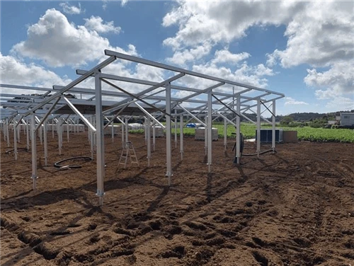 Solar Parks On Rewetted Peatlands Found To Support Bird Diversity, German Stu...