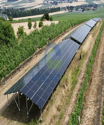 Agriculture Solar Mounting System Agriculture Solar Mounting System